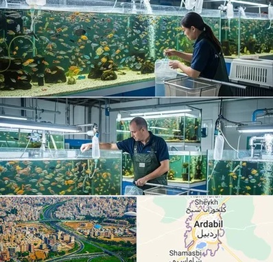 فروش عمده ماهی آکواریومی در اردبیل