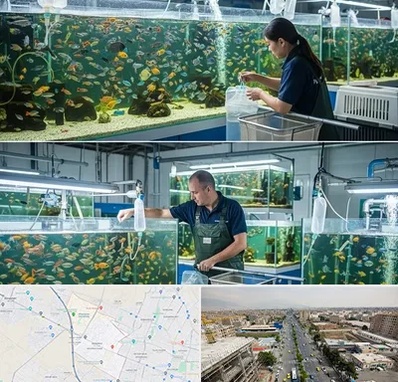 فروش عمده ماهی آکواریومی در حصارک کرج