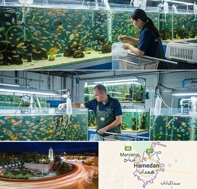 فروش عمده ماهی آکواریومی در همدان