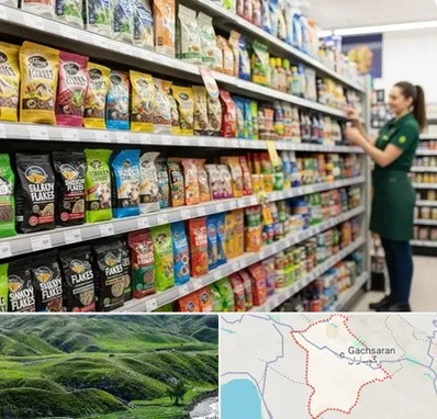 فروش غذای ماهی در گچساران