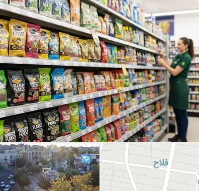 فروش غذای ماهی در فلاح