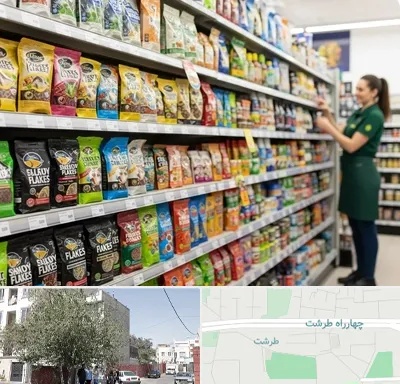 فروش غذای ماهی در طرشت