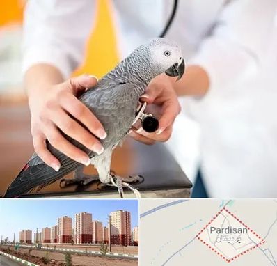 دامپزشکی پرندگان در پردیسان قم