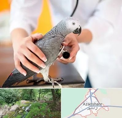 دامپزشکی پرندگان در آزادشهر