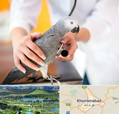 دامپزشکی پرندگان در خرم آباد