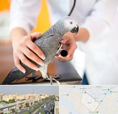 دامپزشکی پرندگان در کیانمهر کرج