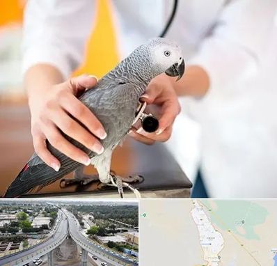 دامپزشکی پرندگان در اندیمشک