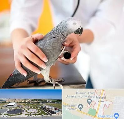 دامپزشکی پرندگان در ملارد