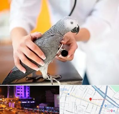 دامپزشکی پرندگان در آبرسان تبریز