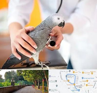 دامپزشکی پرندگان در فلکه گاز رشت