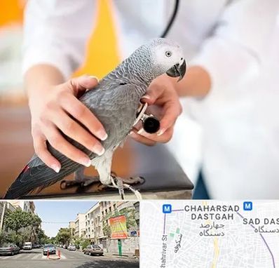 دامپزشکی پرندگان در چهارصد دستگاه