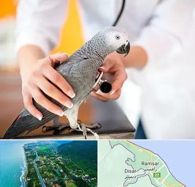 دامپزشکی پرندگان در رامسر