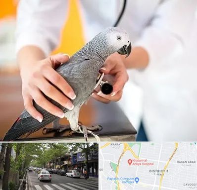 دامپزشکی پرندگان در ظفر