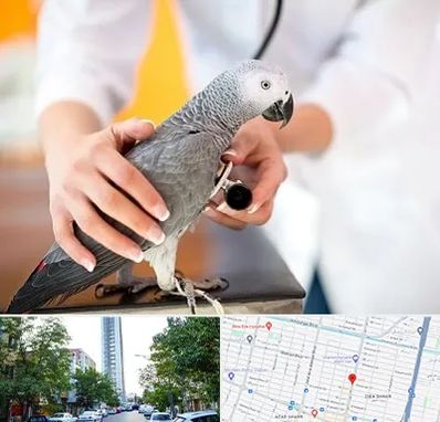 دامپزشکی پرندگان در امامت مشهد