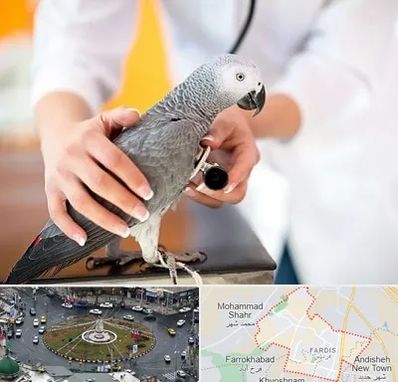 دامپزشکی پرندگان در فردیس کرج