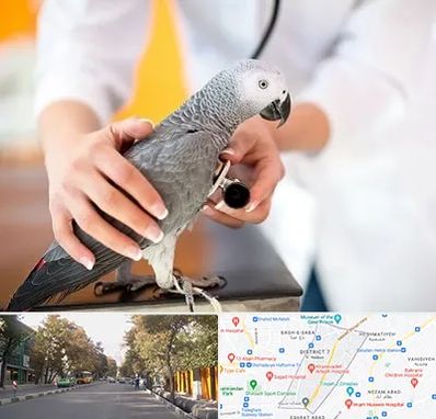 دامپزشکی پرندگان در شریعتی