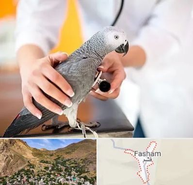 دامپزشکی پرندگان در فشم