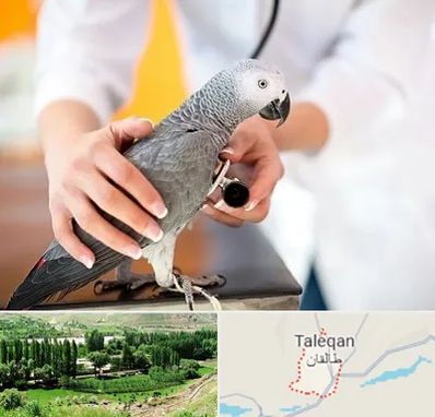 دامپزشکی پرندگان در طالقان
