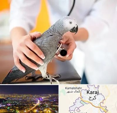 دامپزشکی پرندگان در کرج