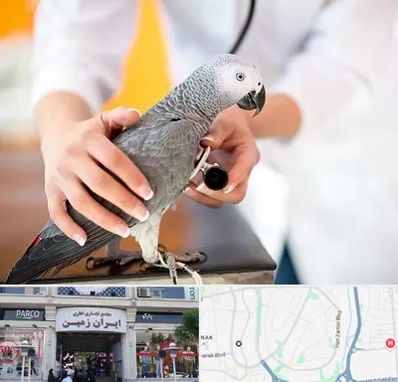 دامپزشکی پرندگان در ایران زمین