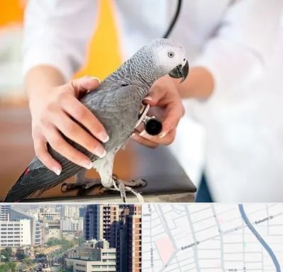 دامپزشکی پرندگان در خیابان بهشتی