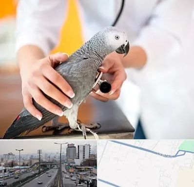 دامپزشکی پرندگان در بلوار ارتش