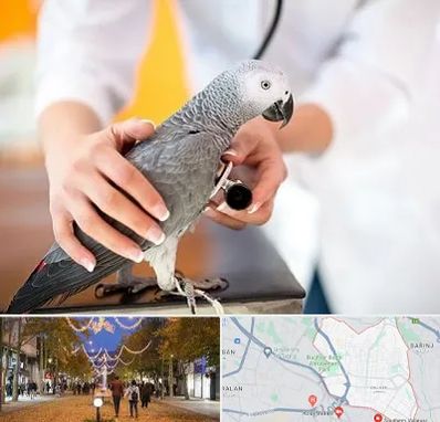 دامپزشکی پرندگان در ولیعصر ارومیه