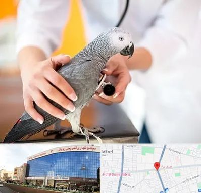 دامپزشکی پرندگان در نصف راه تبریز