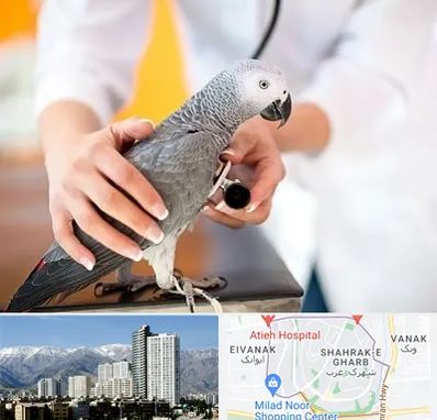 دامپزشکی پرندگان در شهرک غرب تهران
