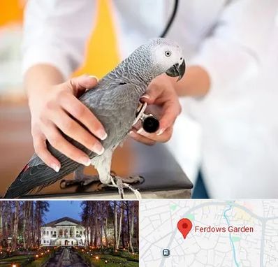 دامپزشکی پرندگان در باغ فردوس
