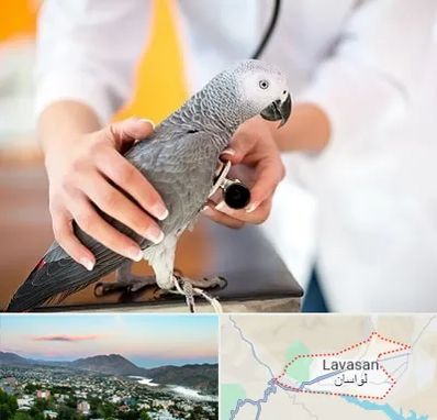 دامپزشکی پرندگان در لواسان
