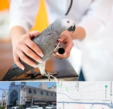 دامپزشکی پرندگان در بلوار ابوذر