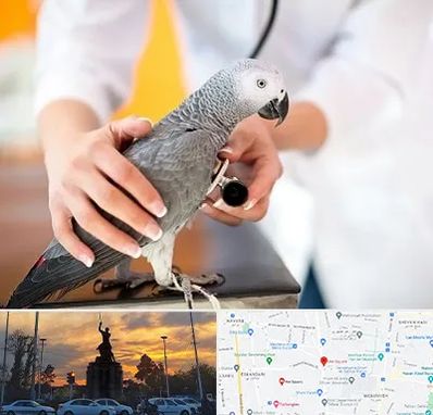 دامپزشکی پرندگان در میدان حر