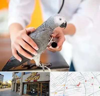 دامپزشکی پرندگان در عطاران قم