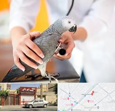 دامپزشکی پرندگان در باجک قم