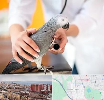 دامپزشکی پرندگان در سهند تبریز