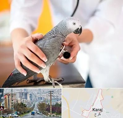 دامپزشکی پرندگان در گوهردشت