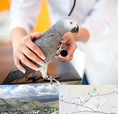 دامپزشکی پرندگان در رودهن