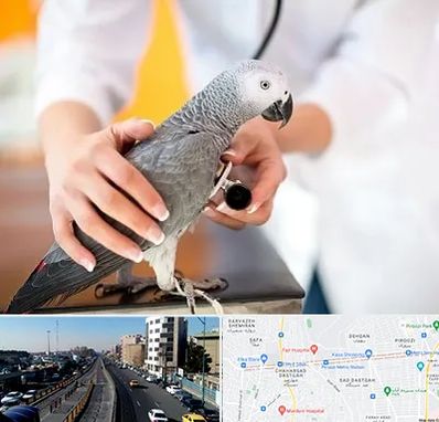 دامپزشکی پرندگان در پیروزی