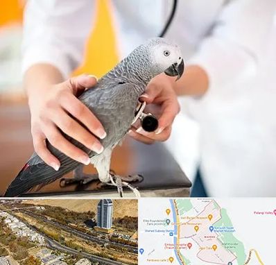 دامپزشکی پرندگان در خیابان نیایش شیراز