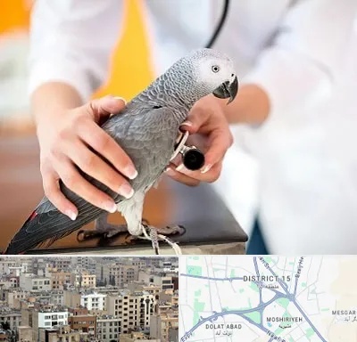 دامپزشکی پرندگان در جنوب شرق تهران