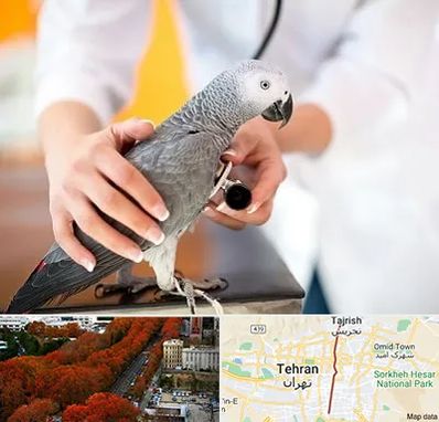 دامپزشکی پرندگان در ولیعصر