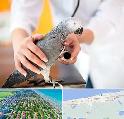 دامپزشکی پرندگان در فریدونکنار