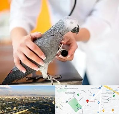 دامپزشکی پرندگان در هنگام