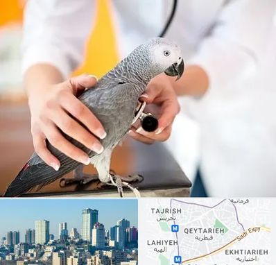 دامپزشکی پرندگان در قیطریه