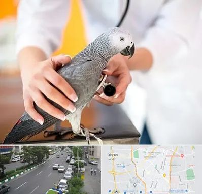 دامپزشکی پرندگان در ستارخان