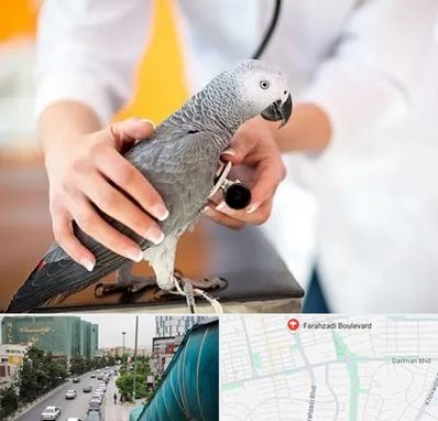 دامپزشکی پرندگان در بلوار فرحزادی