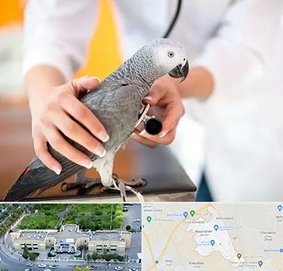 دامپزشکی پرندگان در نسیم شهر