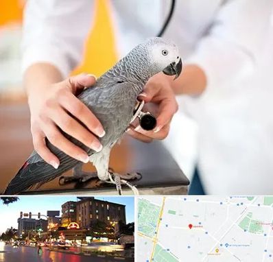 دامپزشکی پرندگان در بلوار سجاد مشهد