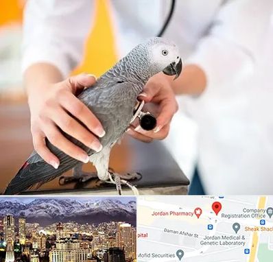 دامپزشکی پرندگان در جردن